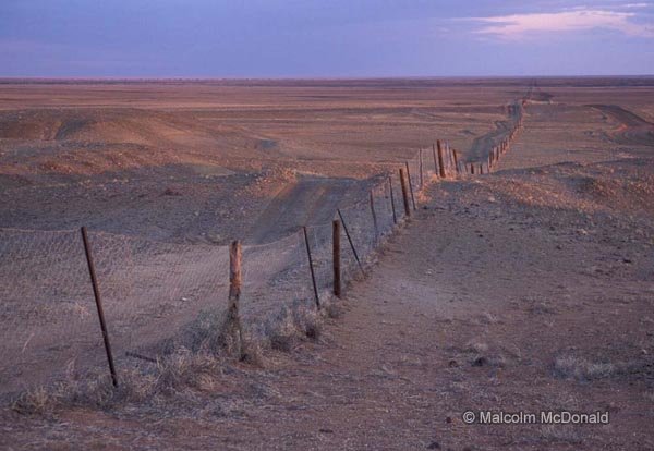 Extending 5,400 km through 3 states this Dog Fence was erected to keep out wild dogs
