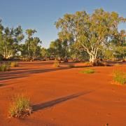 The river beds can be driven on in the dry season, Hay River, NT, Australia