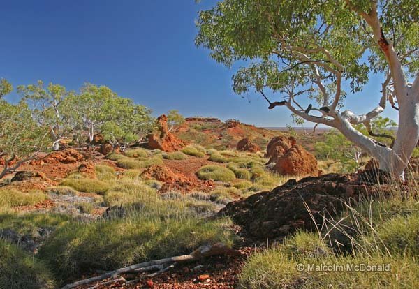 Eroded formations create interesting shapes, Tully Range, Qld. Australia