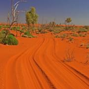 Thoughtful travellers leave nothing but tracks, Simpson Desert, Australia