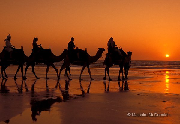 These Bedouin-attired tourists turn for home at day’s end, Cable Beach WA