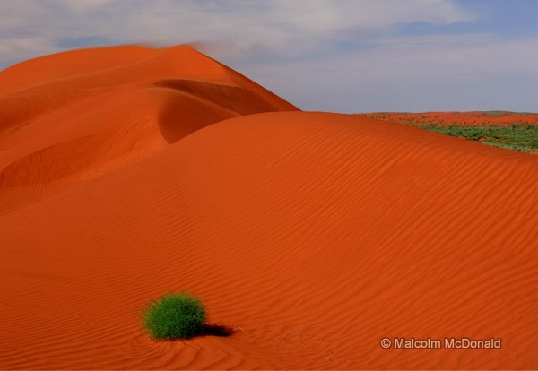 Shifting sands blown in the breeze result in the desert landscape changing over time. Simpson Desert, Australia