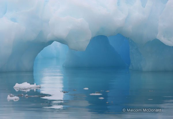 Icebergs are shaped by wind, sun and water to create exquisite art forms
